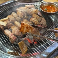 광주 풍암동 고기집 통큰고기 참숯구이 특수부위 맛집
