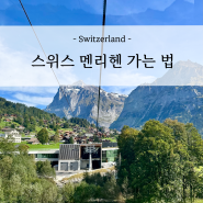 스위스 멘리헨 융프라우 전망대 가는 법과 액티비티