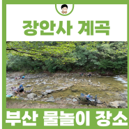 부산 당일치기 물놀이 기장 장안사 계곡 캠핑 준비물