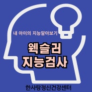 김해 웩슬러 지능검사/김해 지능검사/김해한사랑건강센터/김해한사랑정신건강센터