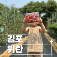 김포 아이와 농장체험 물놀이 치유농장 뒤란