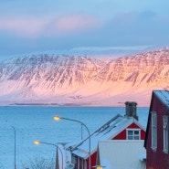 서진이네 아이슬란드 음식 물가 예시 환율 화폐 날씨 여행 정보 알아보기