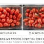 방울토마토 녹색 꼭지 있어야 신선할까? 꼭지 안 떼고 보관했더니