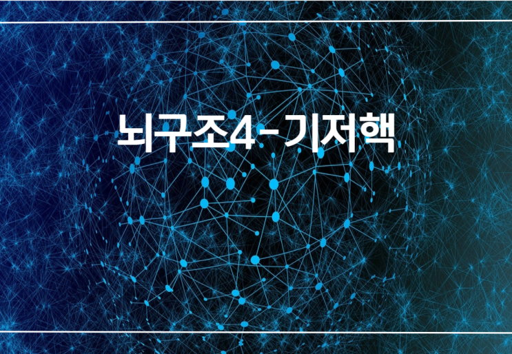 [코코 약사] 바닥핵 기저핵 (basal ganglia)-조가비핵 창백핵 꼬리핵 : 네이버 블로그