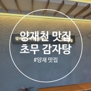 양재역 양재천 맛집 초무 감자탕