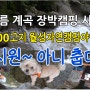 여름 계곡 장박캠핑 시작! 600고지 계곡 월성자연캠핑야영장/시원~ 아니 춥다!