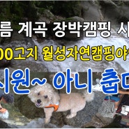여름 계곡 장박캠핑 시작! 600고지 계곡 월성자연캠핑야영장/시원~ 아니 춥다!