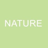 CICA 미술관 국제전 “Nature 2025” 공모