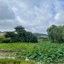 주말 오전 산책, 수원 화성을 거닐다