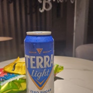 여행중 이마트 24에서 직접 구입한 '테라라이트' TERRA Light