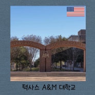 석유공학 전미 1위 칼리지스테이션 텍사스A&M대학교 Texas A&M University College Station, TX TAMU, A&M