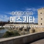 메스키타 회교사원(Mezquita-Catedral de Cordoba) + 스페인 코르도바