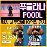 푸들라나 코인(POODL) 솔라나 밈 토큰 구매 방법, 하루만에 10억 유치 호재 전망