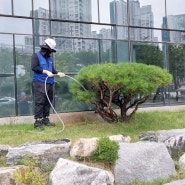 부산조경관리 빌딩조경관리 그린서비스