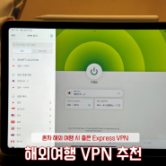 일본에서 티빙 보기 혼자 해외여행 필수품 내돈내산 VPN
