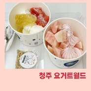 청주 요거트월드 청주강서점 요거트아이스크림 요월꿀조합