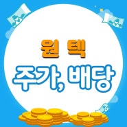 원텍 주가와 배당금 (feat. 해외 수출만이 살 길 & 배당 시작했어요.)