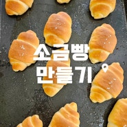김제 소금빵 만들기 베이커리 카페 플루토 라이스 디저트 1기 교육 추천