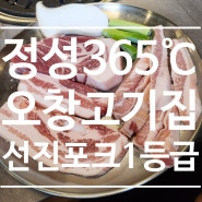 충북 오창 <정성 365도씨> 정성스러운 맛의 온도 오창고기집 추천