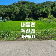 진주시 내동면 독산리 자연녹지지역 토지 저렴한땅 진주시토지매매