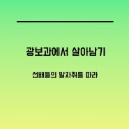 광고홍보학과에서 살아남기/중앙대학교 광고홍보학과