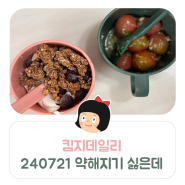 킴지 Daily* 240715~240721 왜 이렇게 약해지는 걸까 ෆ