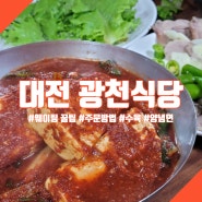 대전 광천식당 웨이팅 꿀팁 양념면 두부두루치기 수육