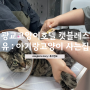 광교고양이호텔 캣블레스유 : 목욕후기 아기랑고양이 사는집