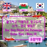 ● 활기차고 아름다운 항구도시 뉴키 - 영국 웨일즈 (New Quay, Vibrant and Picturesque Harbor Town - Wales, UK)