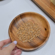 파로 쌀 먹는법 슈퍼푸드 파로 곡물 밥짓기