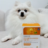 강아지 오메가3 피부 영양제로 귀 염증 발사탕 종결