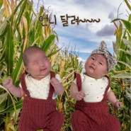 베이비 사진 합성 어플 아기 사진 쌍둥이 일상 90일
