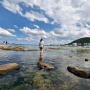 7월 여름에는 동해바다가 최고지: 오도리해수욕장의 여름날