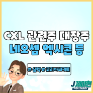 CXL 관련주 대장주 보기 : 네오셈 엑시콘