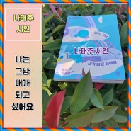 나는 그냥 내가 되고 싶어요 나태주 시인, 중학생에게 용기주는 시