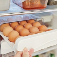 냉장고 계란트레이 바케인 계란보관함 30구는 거뜬하죠