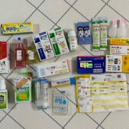 일본 미야코지마, 아기와 해외여행 준비 상비약 처방 가정상비약