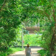 여의도 샛강 생태공원 주차 서울 산책로 조용하게 산책하기좋은곳