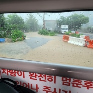 7월 3째주 주간일기 장마 시작