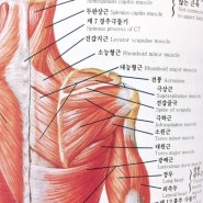 [울산남구피부관리] 금수저 에스테틱 등 관리