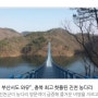 “멀리 부산서도 와유”..충북 최고 핫플된 진천 농다리