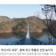 “멀리 부산서도 와유”..충북 최고 핫플된 진천 농다리