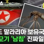 한국도 말라리아 보유국 북한 모기 '남침' 진짜일까?