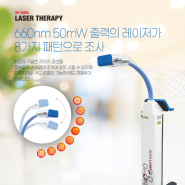 레이저 치료기 SCAN LASER GP-1060L