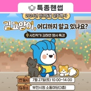 <길고양이, 어디까지 알고 있나요?>😺사진작가 김하연 명사 특강