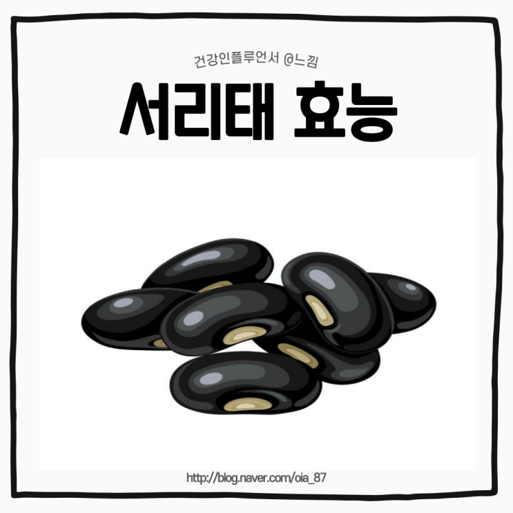 서리태효능 검은콩 검은콩차 검은콩가루 효능 : 네이버 블로그