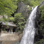 양산 홍룡사 계곡 홍룡폭포에서 시원한 사찰여행