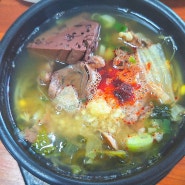 [신화월드맛집] 제주신화월드, 오설록 인근 맛집 / 소고기국밥 찐맛집 "양가네"