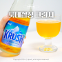 편의점맥주 크러시 청량한 이지드링킹 롯데칠성 여름맥주 KRUSH 후기