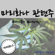 마리화나 관련주 아이큐어 메디콕스 오성첨단소재 애머릿지 주가 및 실적